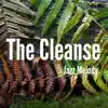 Jazz Melody - The Cleanse